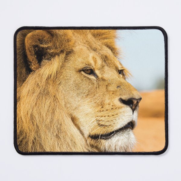 Item preview, Big lion looking far away designed and sold by Jukka Heilimo.