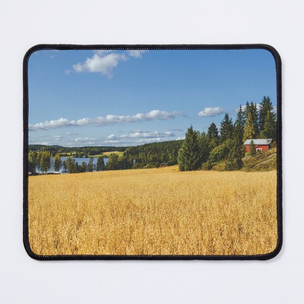 Item preview, Finnish countryside panorama with oatfield and lake designed and sold by Jukka Heilimo.