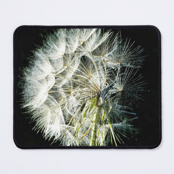 Item preview, Dandelion Puff Ball designed and sold by nickbrayimages.