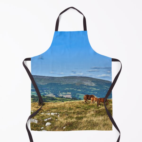 Item preview, Wild Horses on the Brecon Beacons designed and sold by VnGphoto.