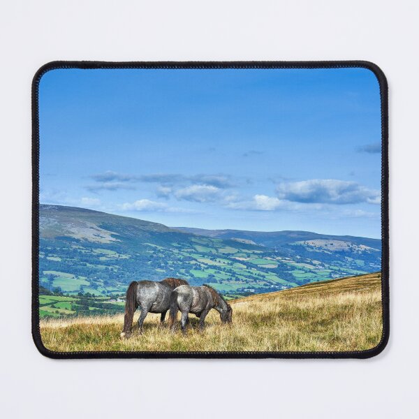 Item preview, Wild Horses on the Brecon Beacons designed and sold by VnGphoto.