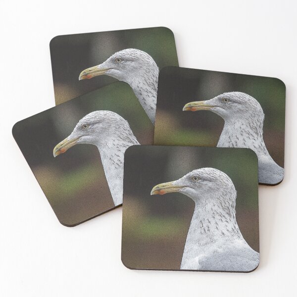 Aperçu de l'œuvre Mouette de près. créée et vendue par GingerMan2550.