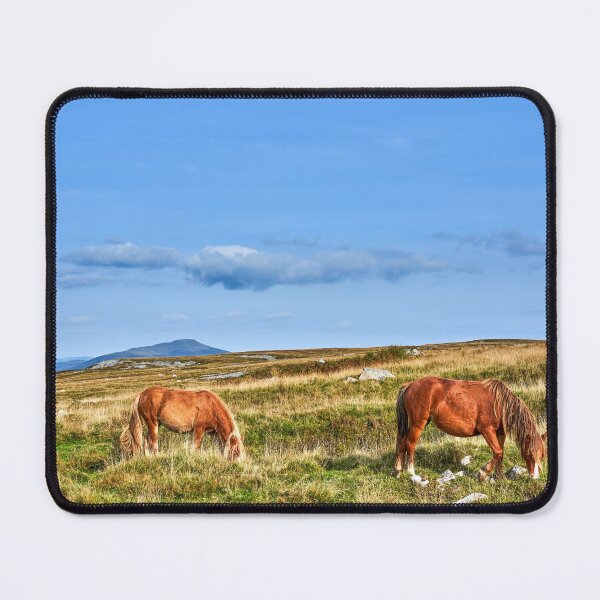 Item preview, Wild Horses on the Brecon Beacons designed and sold by VnGphoto.