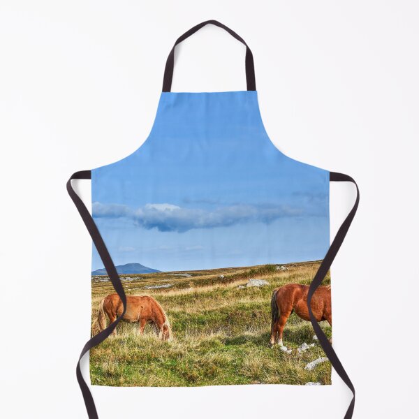 Item preview, Wild Horses on the Brecon Beacons designed and sold by VnGphoto.