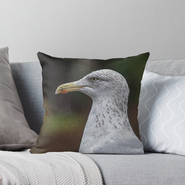 Aperçu de l'œuvre Mouette de près. créée et vendue par GingerMan2550.