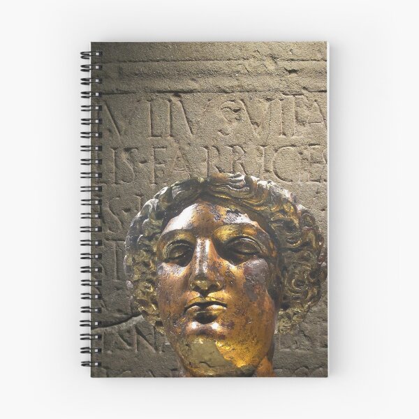 Item preview, Jefe de Sulis Minerva, baños romanos, Bath, Reino Unido designed and sold by buttonpresser.