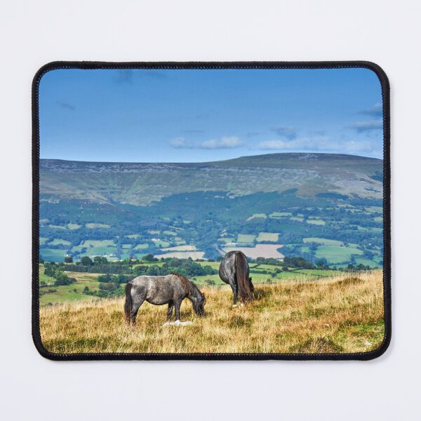 Item preview, Wild Horses grazing on the Brecon Beacons designed and sold by VnGphoto.