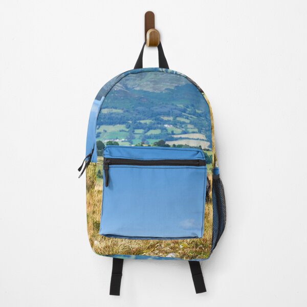 Item preview, Wild Horses grazing on the Brecon Beacons designed and sold by VnGphoto.
