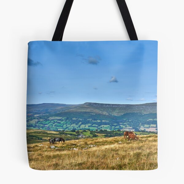 Item preview, Wild Horses grazing on the Brecon Beacons designed and sold by VnGphoto.