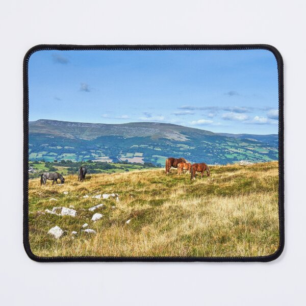 Item preview, Wild Horses grazing on the Brecon Beacons designed and sold by VnGphoto.