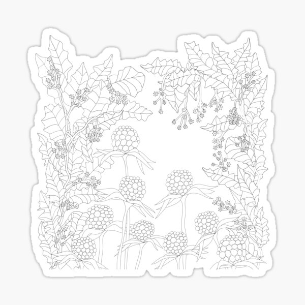 Wunderblumen Nr. 2/2016 Sticker