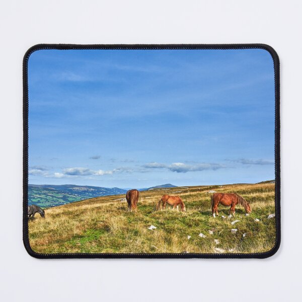 Item preview, Wild Horses grazing on the Brecon Beacons designed and sold by VnGphoto.