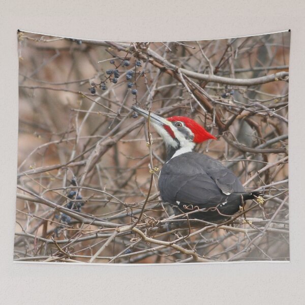 Item preview, Pileated Woodpecker designed and sold by Enola Gay Wagner.