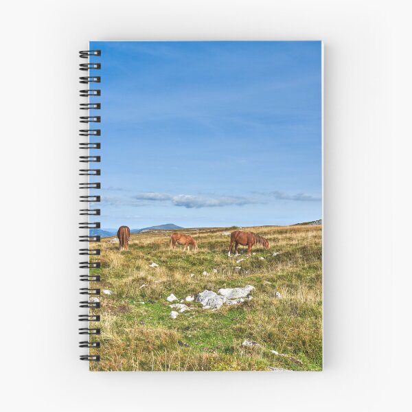 Item preview, Wild Horses grazing on the Brecon Beacons designed and sold by VnGphoto.