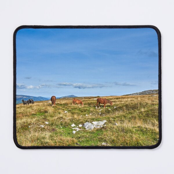 Item preview, Wild Horses grazing on the Brecon Beacons designed and sold by VnGphoto.