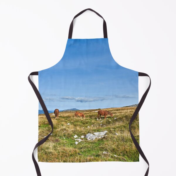 Item preview, Wild Horses grazing on the Brecon Beacons designed and sold by VnGphoto.