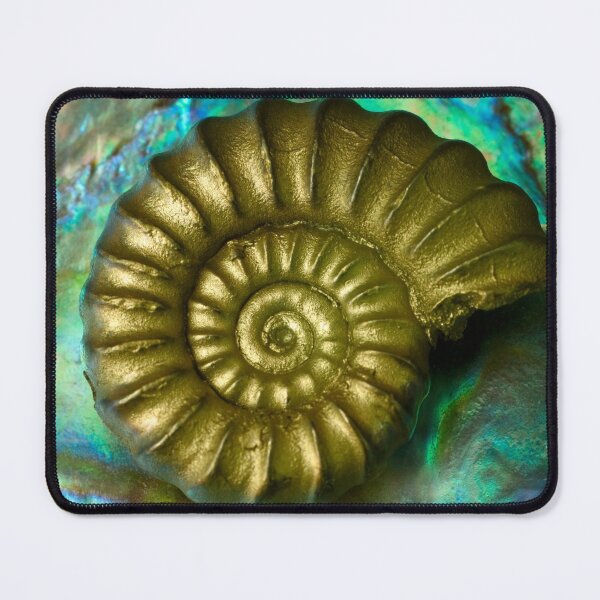 Item preview, Ammonite designed and sold by Kawka.