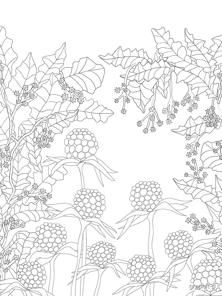 Wunderblumen Nr. 2/2016 von graphit-d