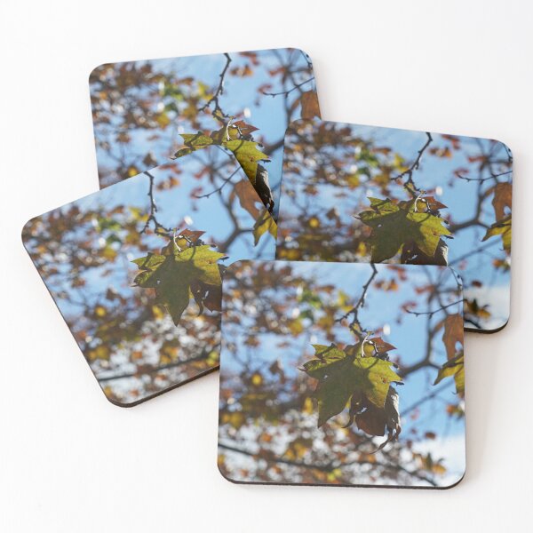 Item preview, Plants tree nature Zaragoza postal spain city designed and sold by Tropical Blood.