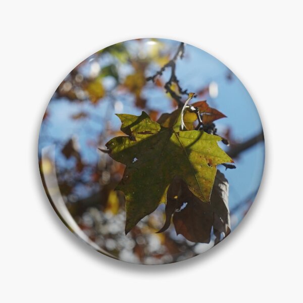 Item preview, Plants tree nature Zaragoza postal spain city designed and sold by Tropical Blood.