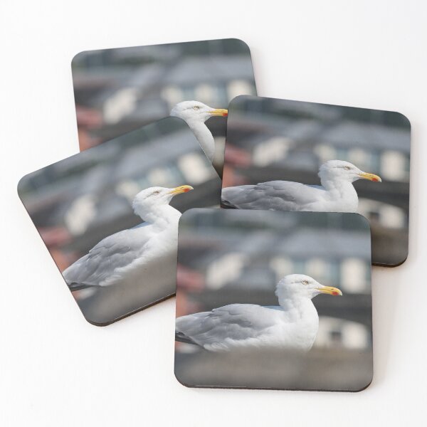 Item preview, Urban gull designed and sold by GreyFeatherPhot.