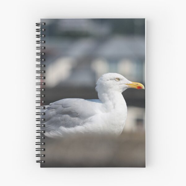 Item preview, Urban gull designed and sold by GreyFeatherPhot.