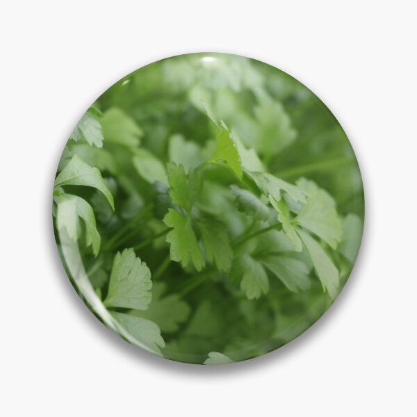 Item preview, spicy herb parsley  designed and sold by mrivserg.