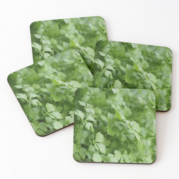 Item preview, spicy herb parsley  designed and sold by mrivserg.