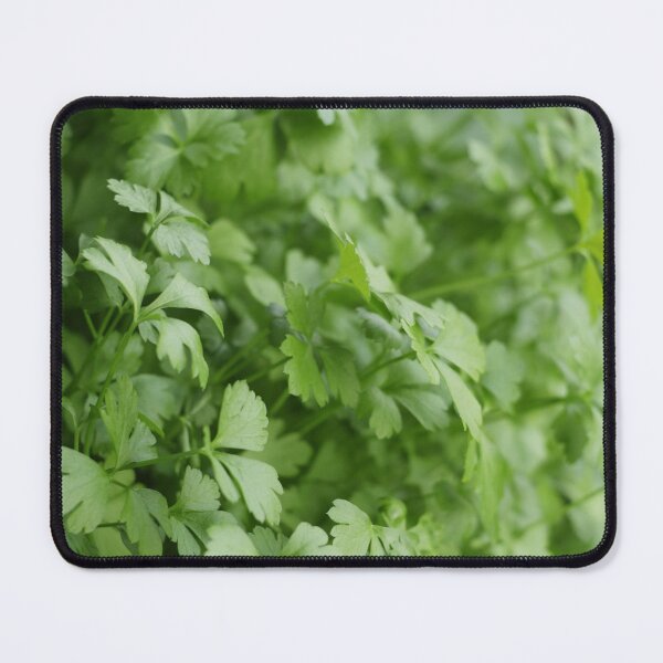 Item preview, spicy herb parsley designed and sold by mrivserg.