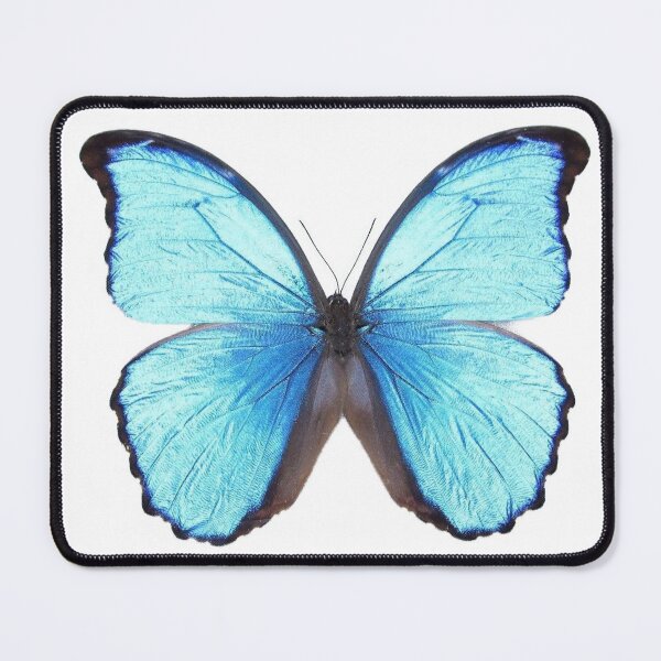 Item preview, Blue butterfly designed and sold by RokOpara.
