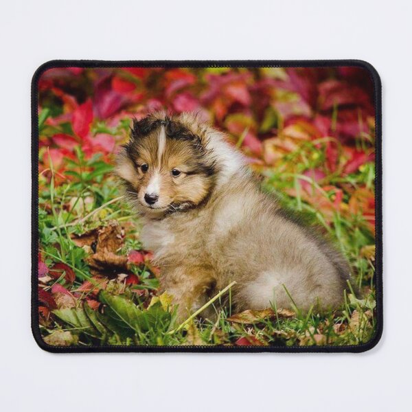 Item preview, Cute Sheltie Puppies designed and sold by RokOpara.