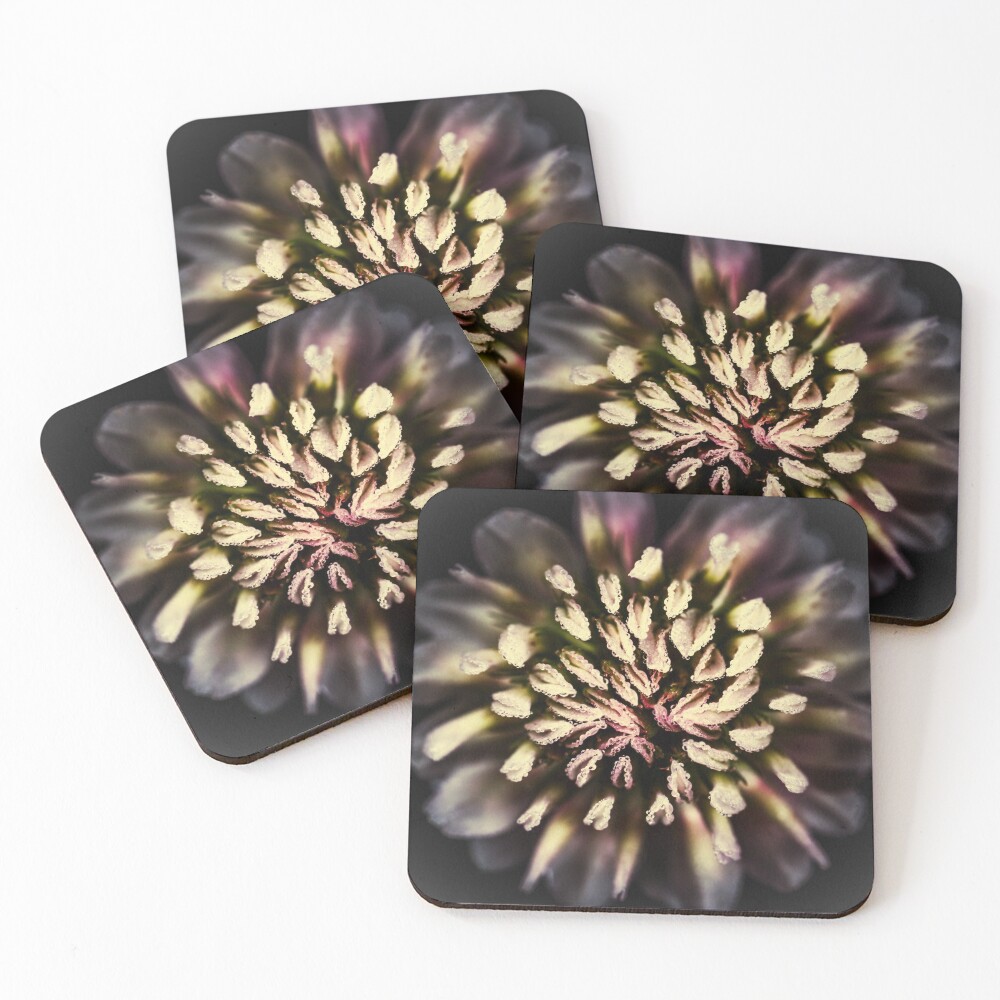 Item preview, Coasters (Set of 4) designed and sold by ImageEvolution.