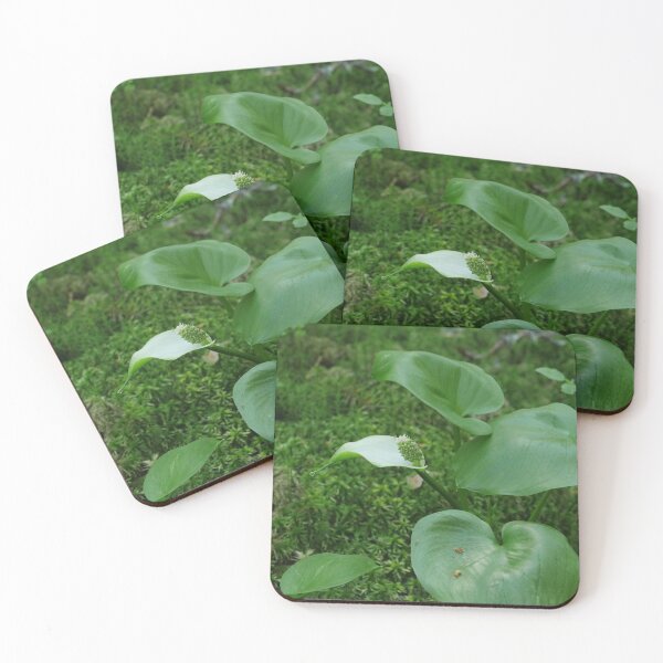 Item preview, flower marsh calla  designed and sold by mrivserg.