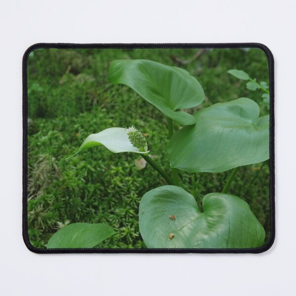 Item preview, flower marsh calla  designed and sold by mrivserg.