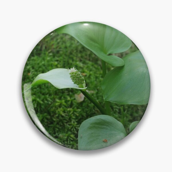 Item preview, flower marsh calla  designed and sold by mrivserg.