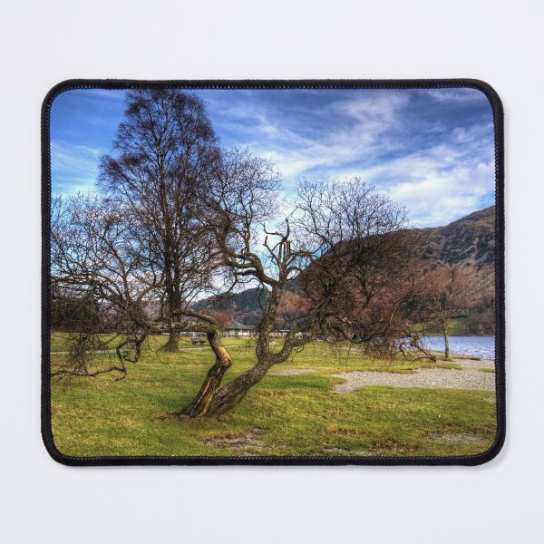 Item preview, Gnarled Tree at Glenridding designed and sold by tomg.