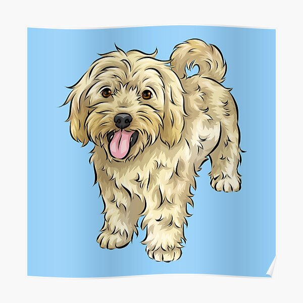 "Cute Cavapoo Cream \ Yellow Cute Dog Art" Poster for Sale by