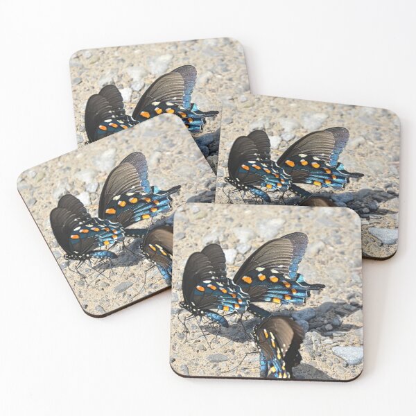 Item preview, Swallowtail Beauties designed and sold by LisaWootenPhoto.