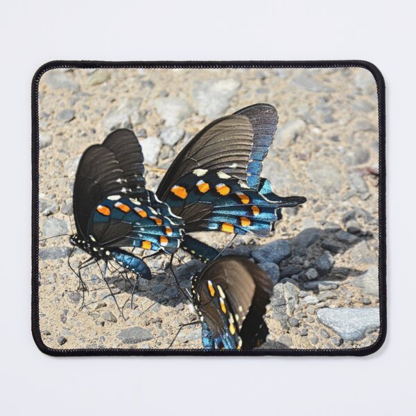 Item preview, Swallowtail Beauties designed and sold by LisaWootenPhoto.