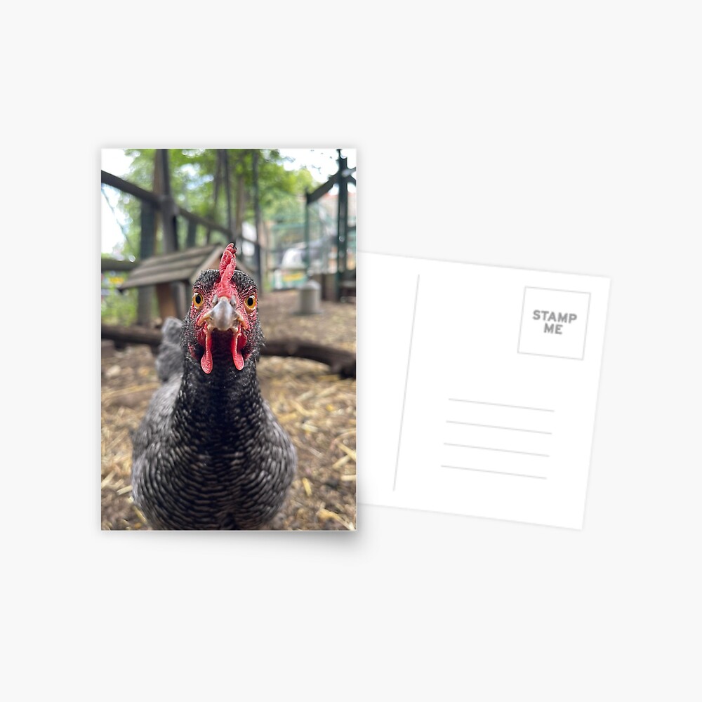Item preview, Postcard designed and sold by Ag-Vulture.