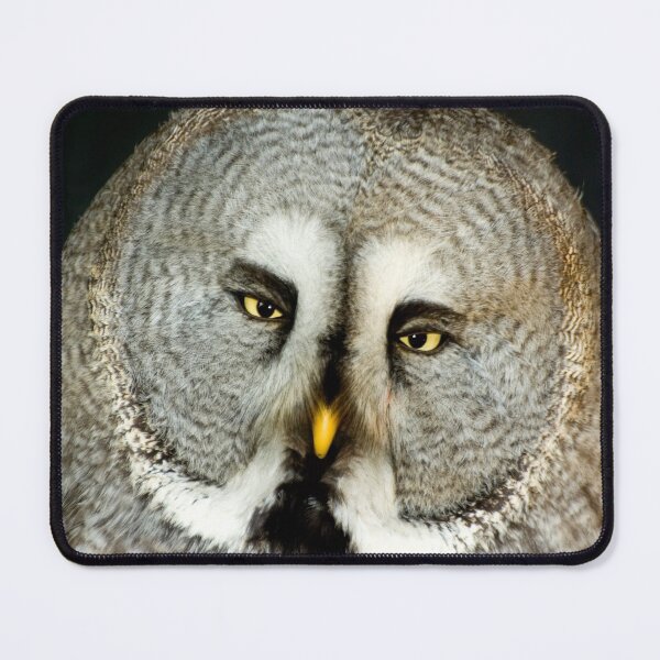 Item preview, Great Grey Owl designed and sold by Kawka.
