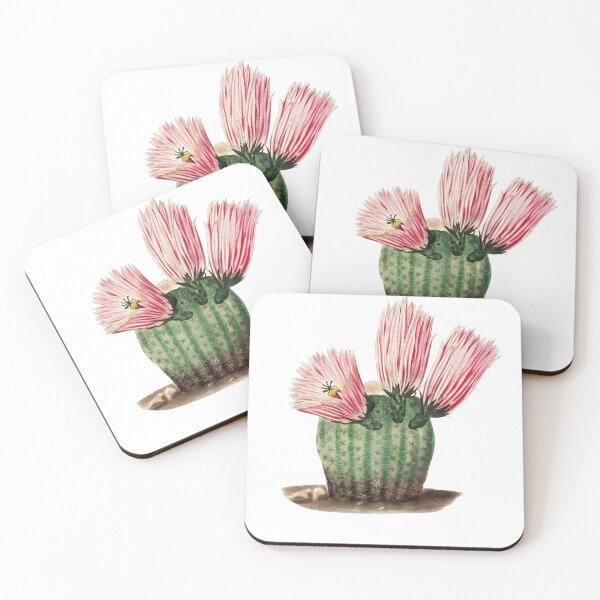Item preview, Cactus Flower designed and sold by ZinZoe.