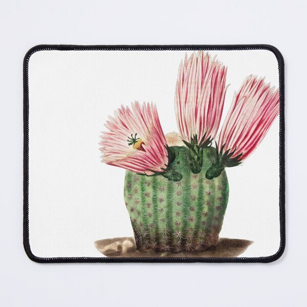 Item preview, Cactus Flower designed and sold by ZinZoe.