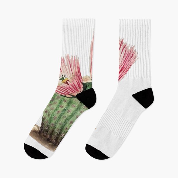 Item preview, Cactus Flower designed and sold by ZinZoe.