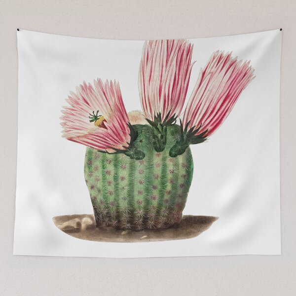 Item preview, Cactus Flower designed and sold by ZinZoe.
