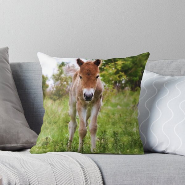 Item preview, Little Curious One  designed and sold by Karen Peron.