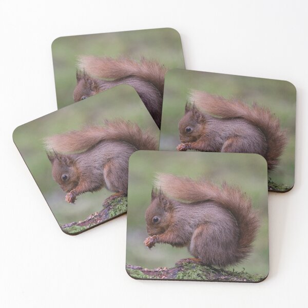 Item preview, Red Squirrel 2 designed and sold by Kevin Tappenden.