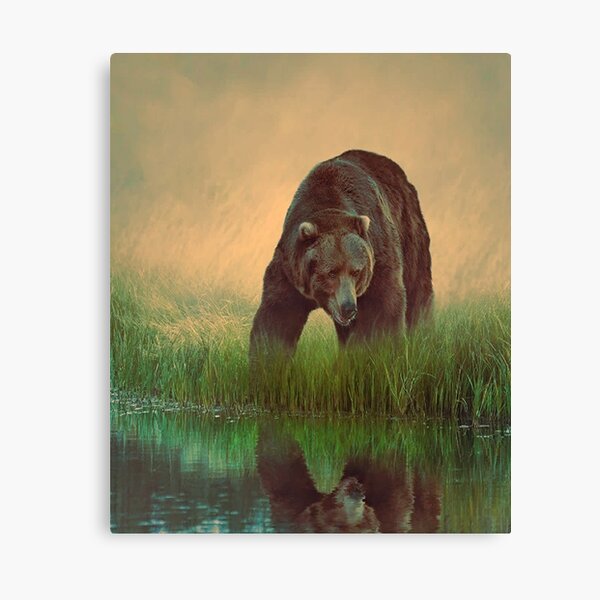 Mountain Grizzly Bear Duo Offset Canvas Print Large Picture Wall Print 