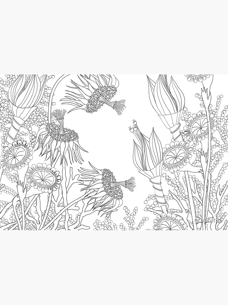 Wunderblumen Nr. 5/2016 von graphit-d