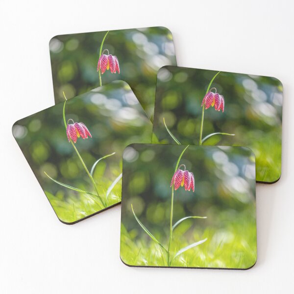 Item preview, Single Snake's head fritillary growing in meadow designed and sold by sgrphotography.